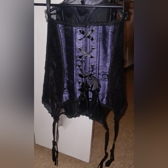 Gorgeous Corset w/attached Garters - Picture 5 of 8
